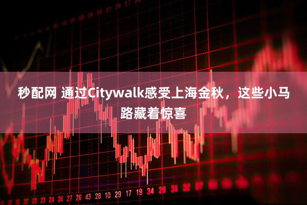 秒配网 通过Citywalk感受上海金秋，这些小马路藏着惊喜