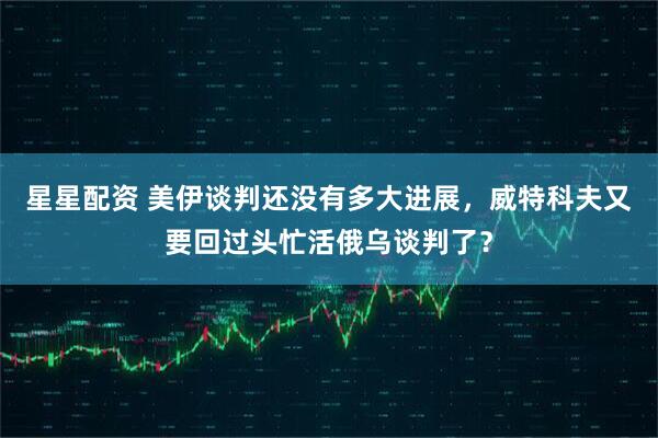 星星配资 美伊谈判还没有多大进展，威特科夫又要回过头忙活俄乌谈判了？